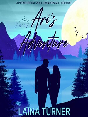 cover image of Ari's Adventure